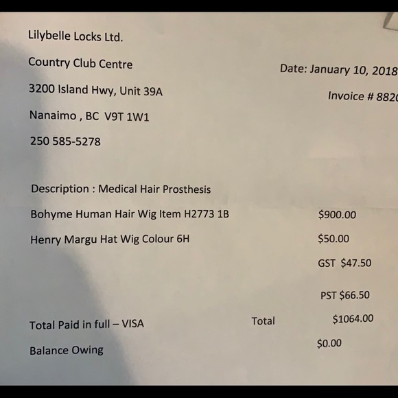 Human Hair Wig - Picture 3 of 3